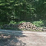 IMG_20220611_115832
