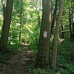 IMG_20220611_120949