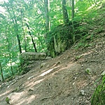 IMG_20220611_123048