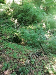IMG_20220611_123057