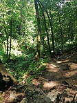 IMG_20220611_123100