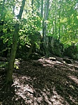 IMG_20220611_123415
