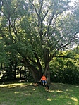IMG_20220611_130229