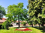 IMG_20220622_153339