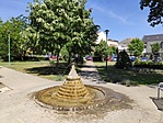 IMG_20220622_144338