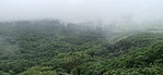 IMG_20220604_144926