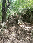 IMG_20220716_144805.jpg