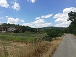 IMG_20220716_142702.jpg