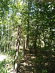 IMG_20220717_141012