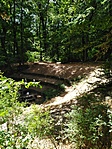 IMG_20220731_131506