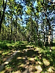 IMG-20220716-WA0034