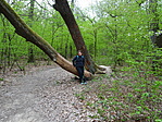 DSC06336
