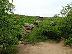 DSC06379