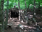 DSC06393