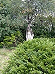 IMG_20220708_134257
