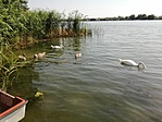 IMG_20220629_161459