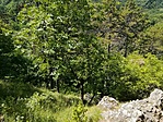 IMG_20220630_123103