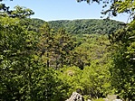 IMG_20220630_123133