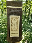 IMG_20220630_123212