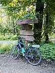 IMG_20220706_075523