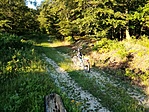 IMG_20220706_062712
