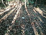 IMG_20220706_062843