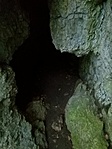 IMG_20220706_064124