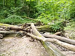 IMG_20220707_091044