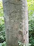 IMG_20220707_092029