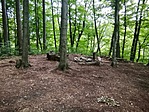 IMG_20220707_093220