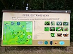 IMG_20220707_110433