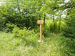 IMG_20220707_111322
