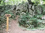 IMG_20220707_113545