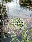 IMG_20220707_144005