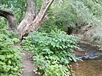 IMG_20220707_151530