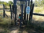 IMG_20220717_171156