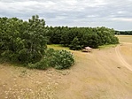 IMG_20220715_103028