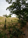 IMG_20220715_092755