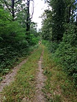 IMG_20220710_160817