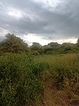 IMG_20220727_180526_786