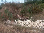 IMG_20220727_180342_179