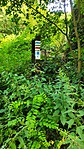 IMG_20220716_093000