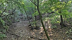 IMG_20220716_094129