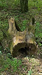 IMG_20220716_101107