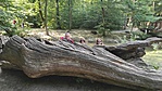 IMG_20220716_101637