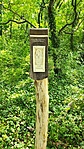 IMG_20220716_112922