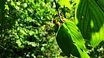 IMG_20220716_102347