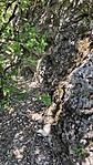IMG_20220716_125343