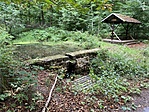 IMG_3235