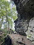 IMG_3245
